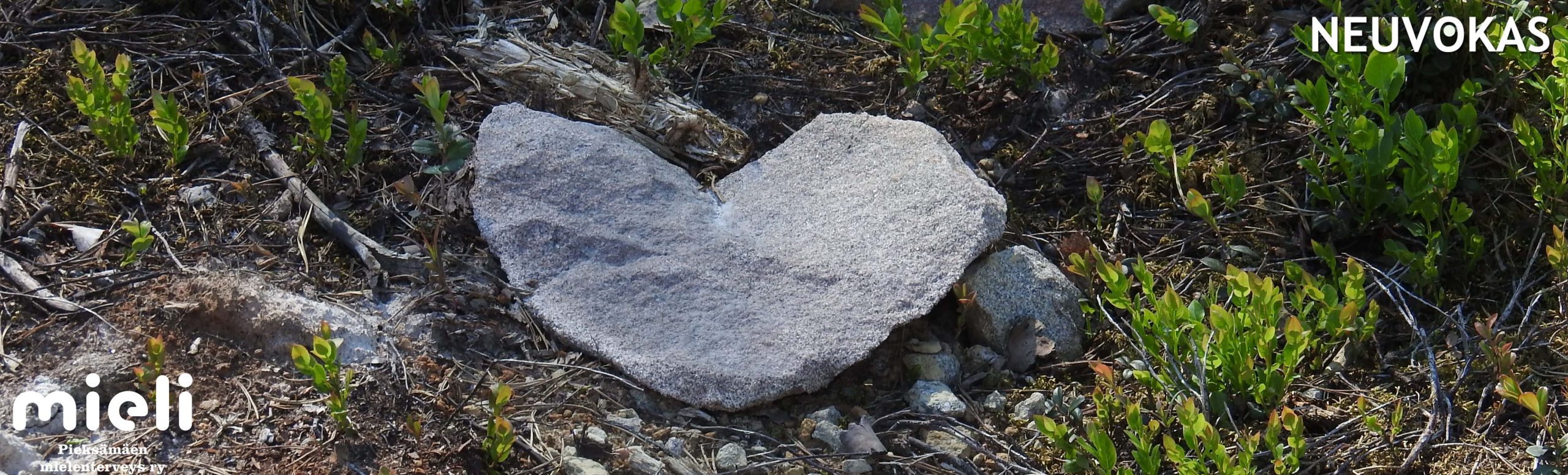 kuvituskuva: sydämen muotoinen kivi