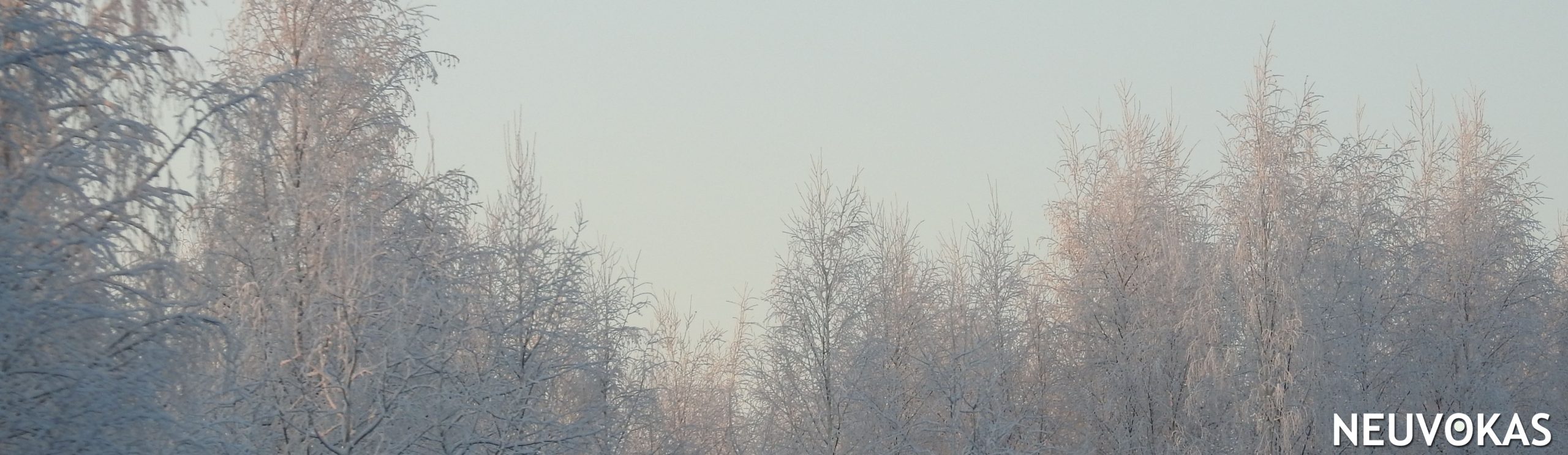 kuvituskuva: lumiset puut